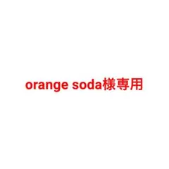 専用ページ