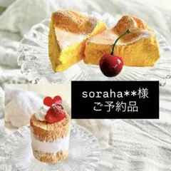 【soraha**様ご予約品】クレイチーズケーキ2点&いちごケーキset