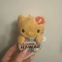 ハローキティ 日焼け1ハワイぬいぐるみ