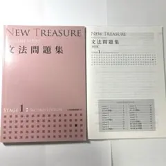 NEW TREASURE 文法問題集 ステージ1
