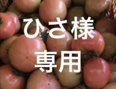 ひさ様 専用のサムネイル