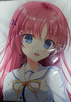 公式応援タオル アグネスデジタル - メルカリ