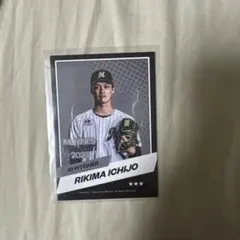 千葉ロッテマリーンズ リアルトレカくじ ★3 一條