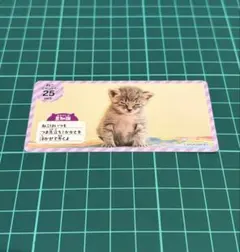ねこニャンバー 25 ver.5 キジトラ猫 カード