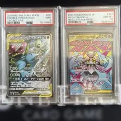 PSA10 ギャラドス マスターボールミラー ギャラドスex SR 2枚セット