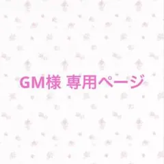 GM様 専用ページ