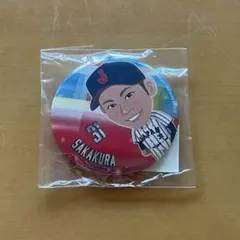 侍ジャパン 坂倉将吾 缶バッジ