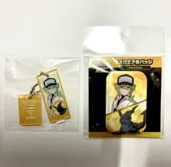 ポケモン N & ゼクロム　缶バッジ　アクリルスタンド　セット