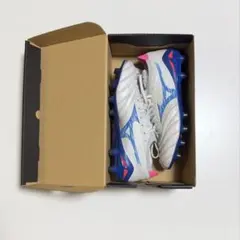 モレリアネオ4β Japan 限定色　24.5cm 即日発送可能！