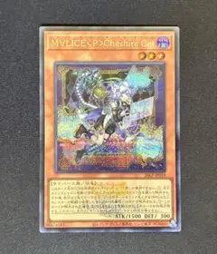 M∀LICE<P>Cheshire Cat ロゴ シークレット 遊戯王 M∀LICE＜P＞Cheshire Cat ロゴシークレット - メルカリ