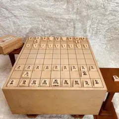 Item thumbnail for item cf78c063-c46a-4b22-9f28-7ce271681432