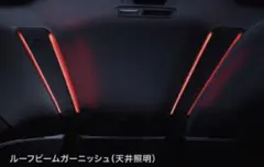 デリカ　ルーフビームガーニッシュ 天井照明　イルミネーションのサムネイル