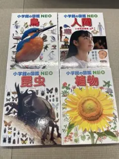 小学館の図鑑NEO 4冊セット