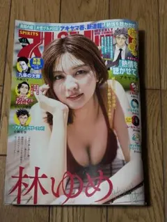 週刊ビッグコミックスピリッツ 41号 林ゆめ 応募券等切り抜きなし