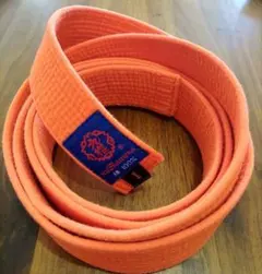 Item thumbnail for item 33bfa582-acd9-41ad-9e2b-729395cdd6f0