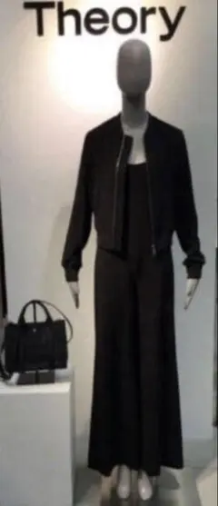 セオリー　セットアップ