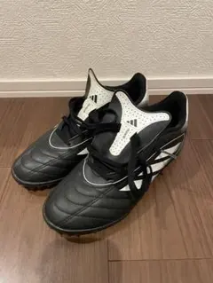 Item thumbnail for item ab9599a0-2390-4e29-88e4-16798043d05b