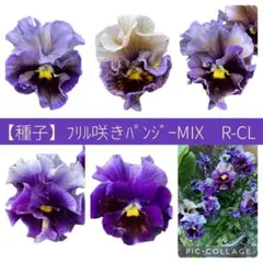 6歳3歳ママ様 リクエスト 2点 まとめ商品