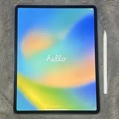 iPad Pro 12.9 第3世代 256GB Wi-Fiモデル ペン付き