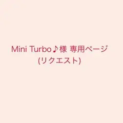 Mini Turbo♪ 様 専用ページ(リクエスト)