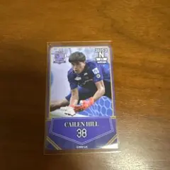 ヒル袈依廉 サンフレッチェ広島 オンサイトカード