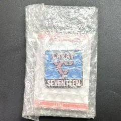 seventeen fc ファンクラブ carat 入会特典 ピンバッジ