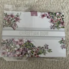 CHRISTIAN DIOR 24 VDAY Clutch S ギフト袋