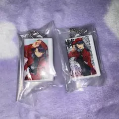 エヴァンゲリオン ビデオテープミニチュアチャームコレクション 葛城ミサト