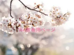 Яin様専用ページ