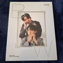 Item thumbnail for item c464000b-f9d9-49f2-8548-396e9892c792