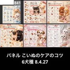 オーダーページ パネル こいぬのケアのコツ 6犬種 8.4.26