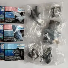 海洋シリーズ フィギュア 3体セット