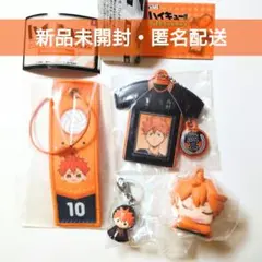 ハイキュー!! 日向翔陽 おねむたん めじるしアクセサリー