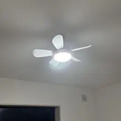 Item thumbnail for item e8c4bd91-2346-4c25-9050-b95d91e785d0