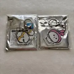 ナガノ×サンリオキャラクターズ　トレーディングアクリルキーホルダー