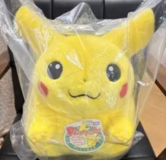 7*8様 ポケモン30周年記念おかえり!ピカチュウ1/1