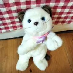 2025年最新】シャム猫ぬいぐるみの人気アイテム - メルカリ