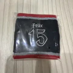 Stray Kids Felix リストバンド dominate JAPAN