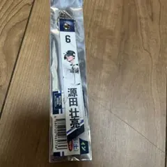 埼玉西武ライオンズ　源田壮亮