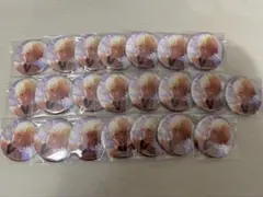 プロセカ グリッター缶バッジ あんスタコラボ 天馬司 22点セット