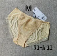 ユエ　ワコール　サルート　Yue 2点　D65ブラジャーショーツ TシャツブラはYueのブラジャーで準備しませんか？˚✧₊⁎〜Yue