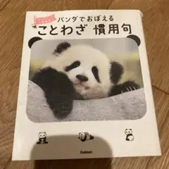 Item thumbnail for item 9d3ab45b-a771-4995-b4c1-f6693882459e