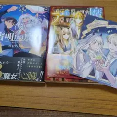 ピノ子様専用　　魔王のアトリエ 1 奇跡のアクセサリの作り方
