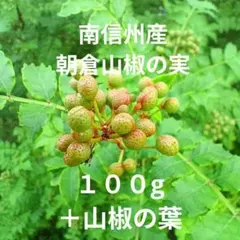 2026年最新】朝倉南の人気アイテム - メルカリ