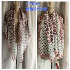 Item thumbnail for item 7d96c3ee-e5f9-4f58-bf69-46b5a0f7ead4