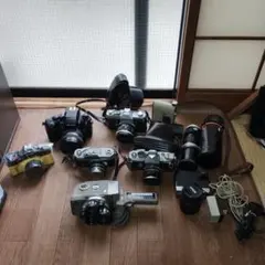 2026年最新】ペトリ FTの人気アイテム - メルカリ