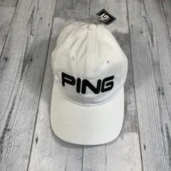 Item thumbnail for item 8309f1e0-e6b2-4571-aeee-4abc22b93954