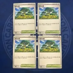 【スタジアム】活力の森　　メガシンフォニア