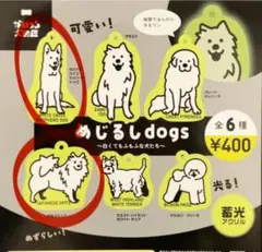 Item thumbnail for item 579cb2fb-4f74-4c7f-b173-bad8a3941427