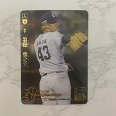 ドリームオーダー 羽田慎之介 SP